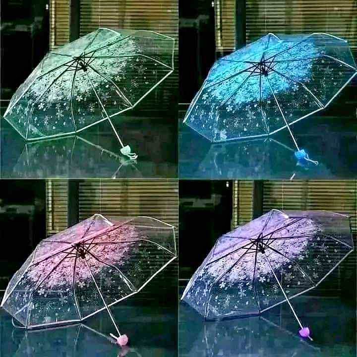 Umbrella