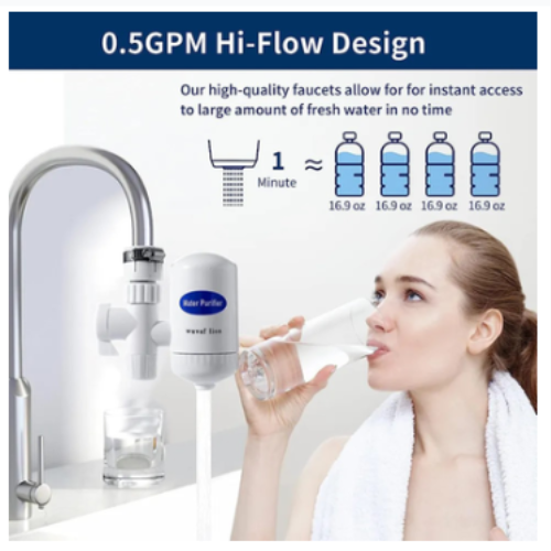 SWS Mini Water Purifier - 2